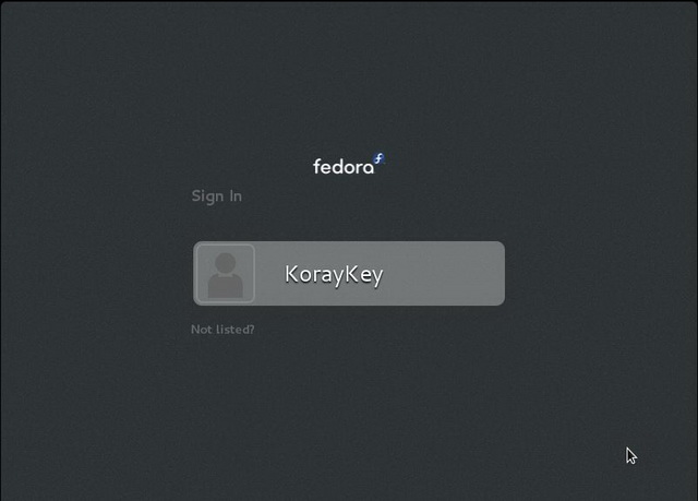 Fedora_Install20